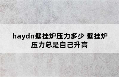 haydn壁挂炉压力多少 壁挂炉压力总是自己升高